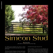 n.20 - Simeon Stud
